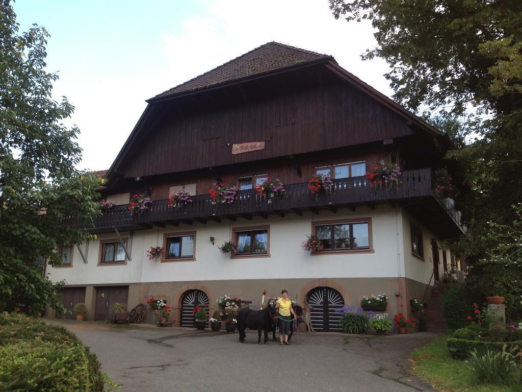 Mattenhof Zell am Harmersbach Extérieur photo