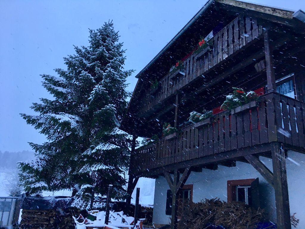 Mattenhof Zell am Harmersbach Extérieur photo